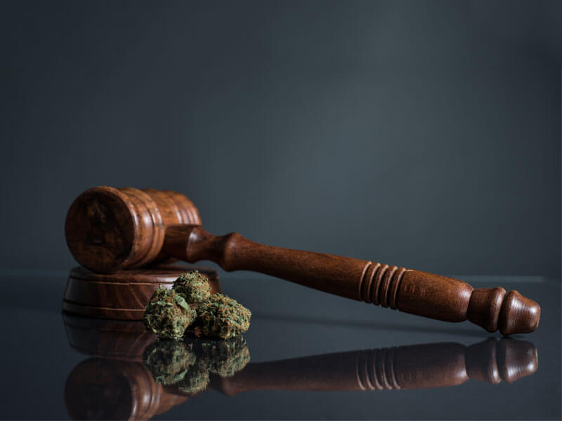 Laws of MMJ