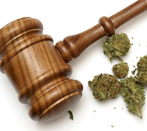 MMJ card laws