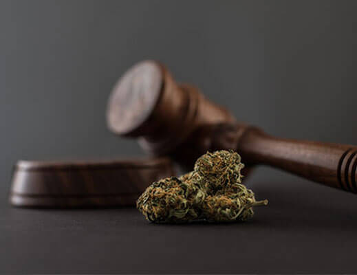 medical marijuana laws
