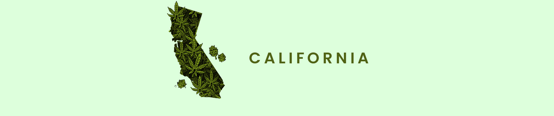 California guide banner