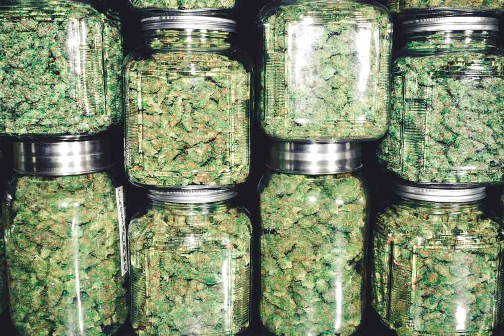 Storing Cannabis