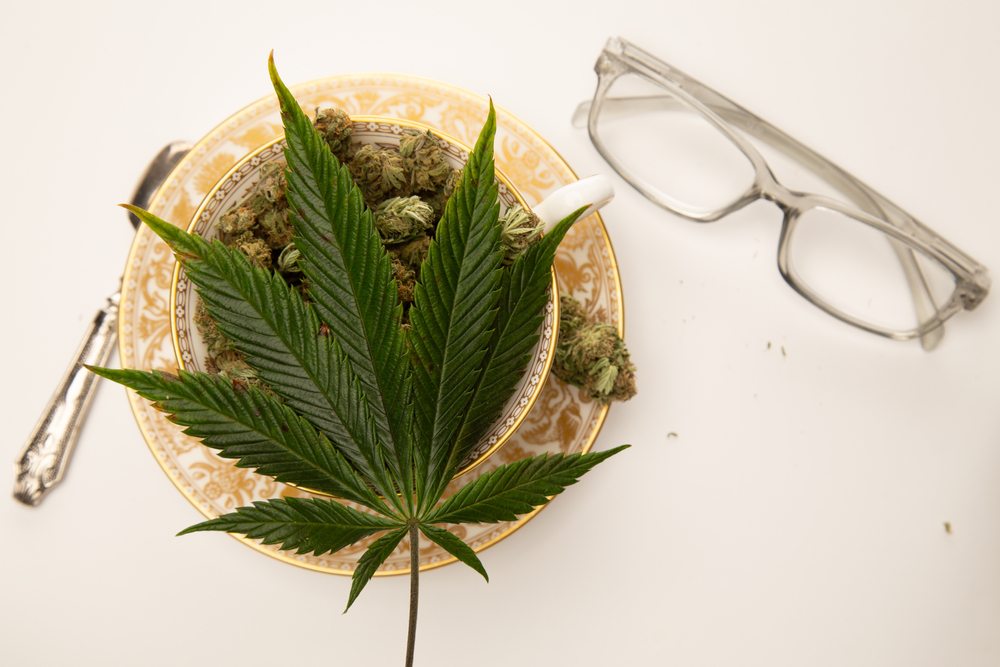 Cannabis for Glaucoma