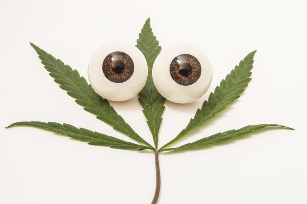 Cannabis and Glaucoma