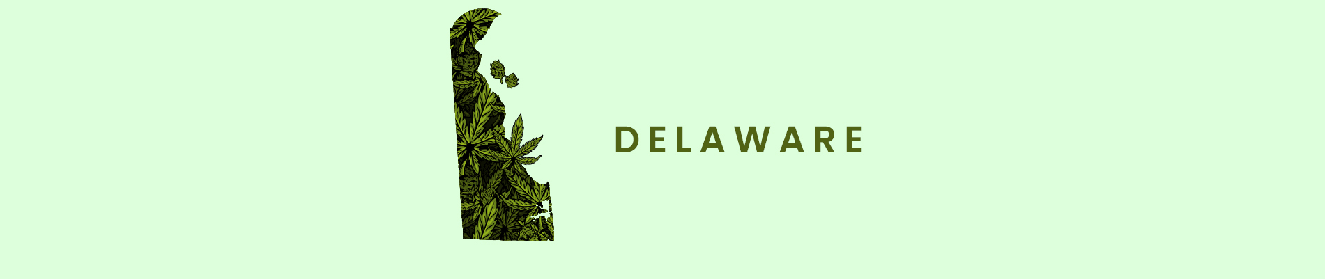 How to get a medical marijuana card in Delawre