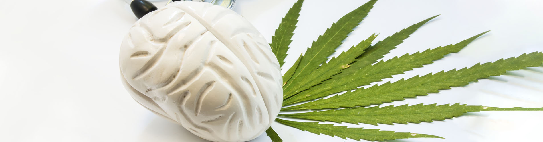 Cannabis for Epilepsy: Is It a Treatment or a Hoax?