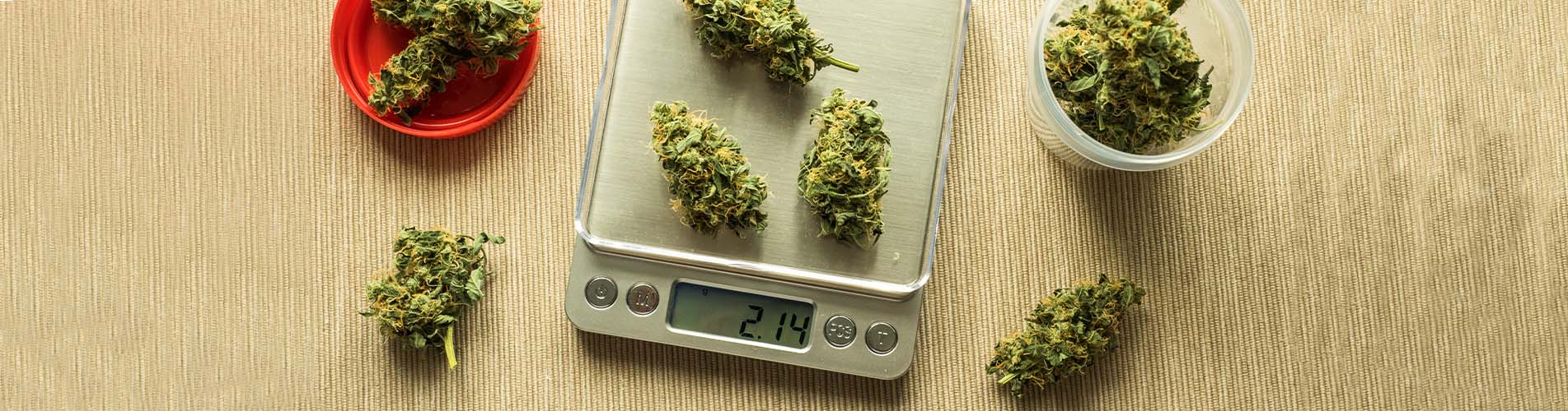 A Visual Guide to Weed Measurements and Prices