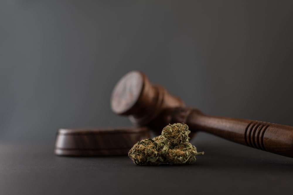 Nevada Medical marijuana laws 