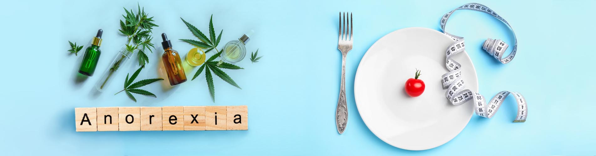 Cannabis for anorexia