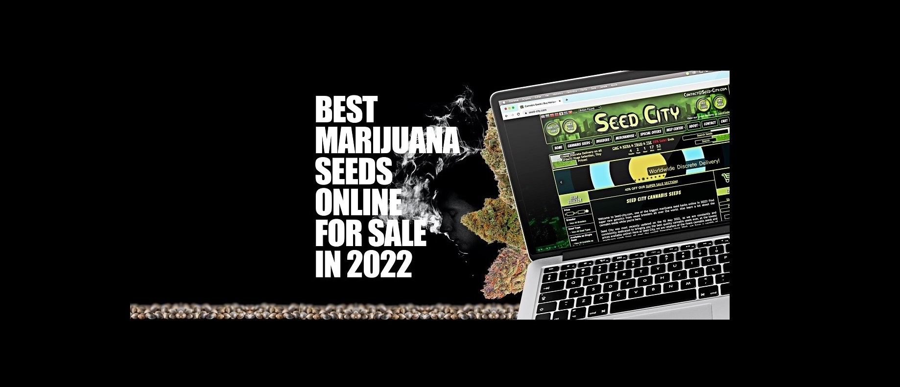 Best Marijuana Seeds Online For Sale in 2022