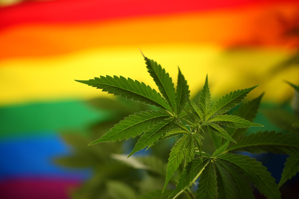 Cannabis and LGBTQ+