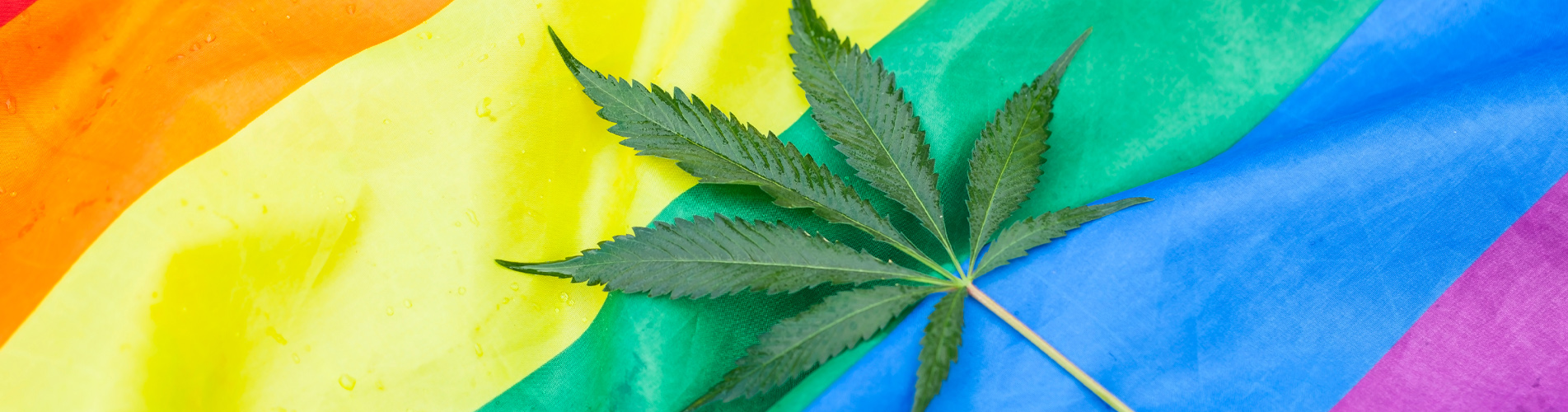 Introducing the Queer Cannabis Club - Industry’s First LGBTQ-led Consortium