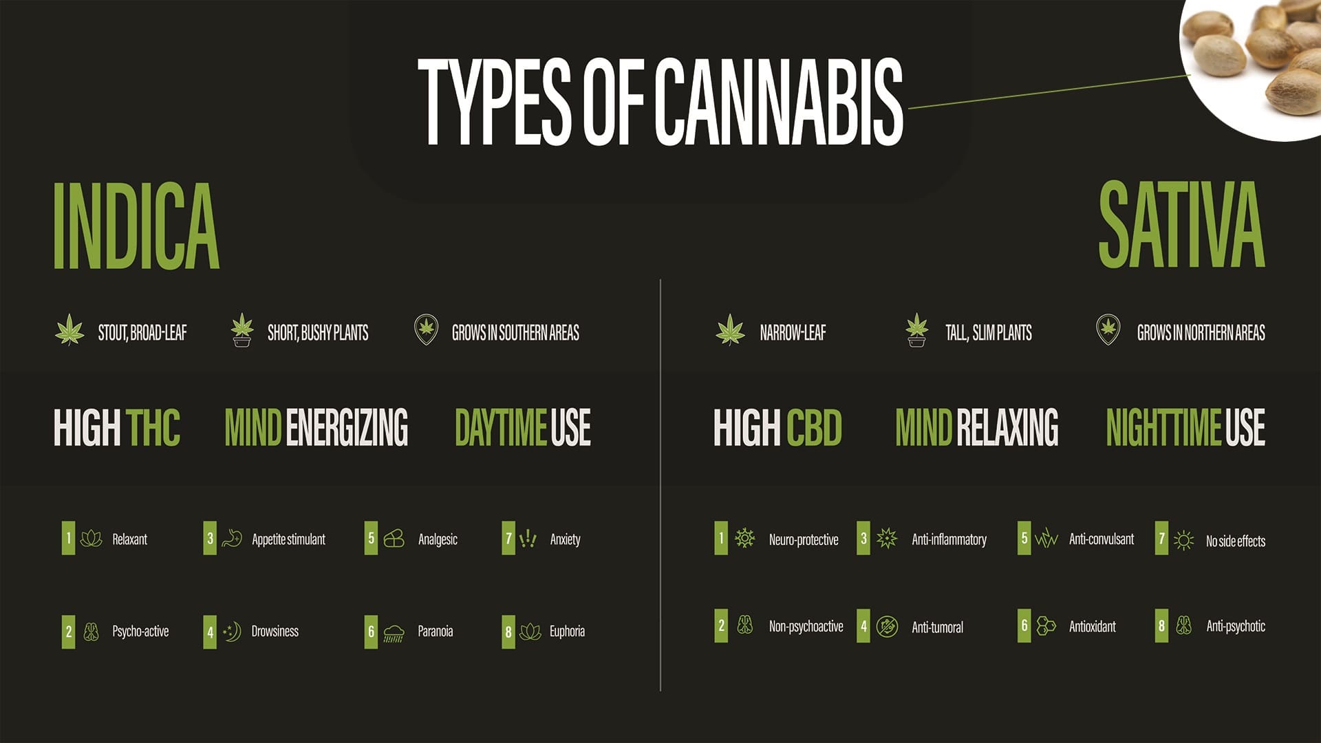 types of cannabis seeds