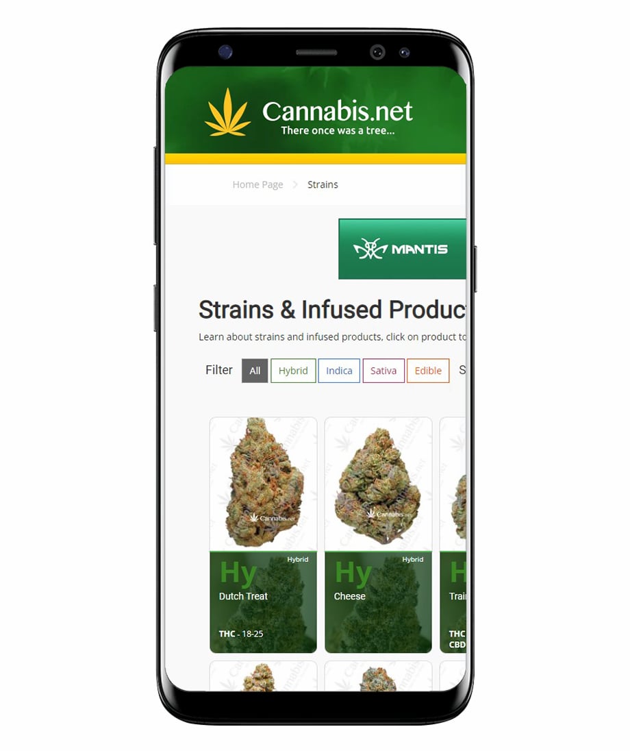More Than Just Finding a Cannabis Store