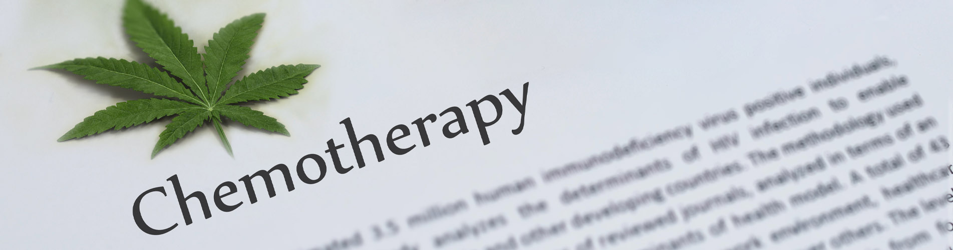 Cannabis and Chemotherapy- What You Need to Know