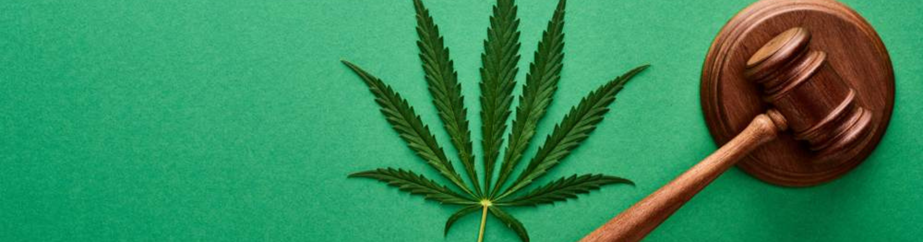 New York Expands Eligibility for Medical Marijuana Qualification