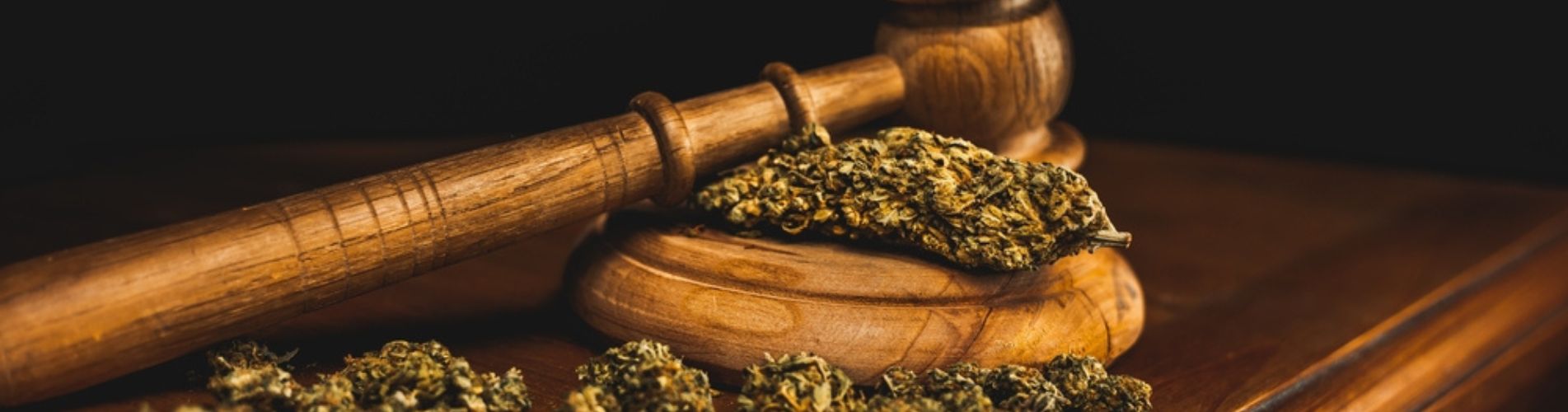 Medical Marijuana Laws