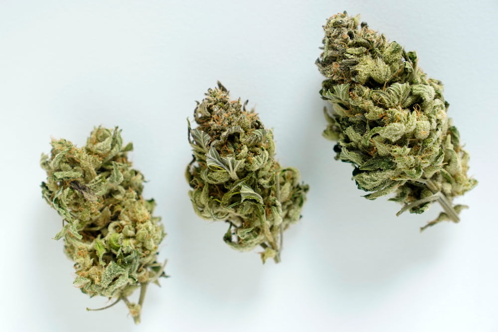 best medical marijuana strains for spasticity