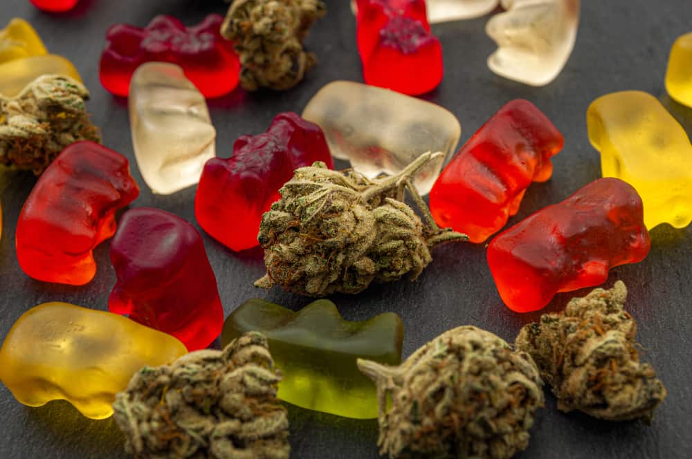 How To Recover From Cannabis Edibles