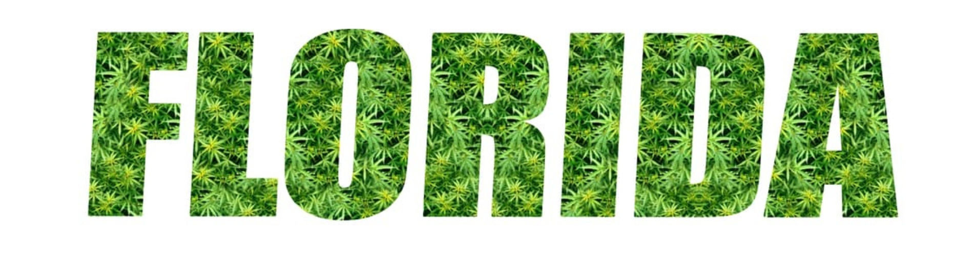 Launch of Florida Recreational Marijuana Legalization Initiative