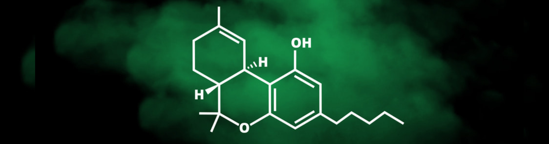 What Is Considered as ‘High THC’