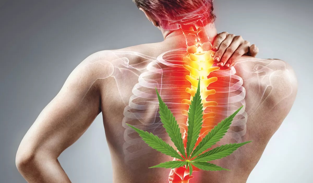 Medical Marijuana Relieves Chronic Pain
