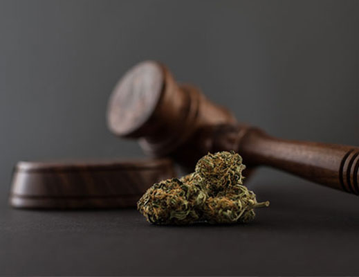 Medical Marijuana Laws by California