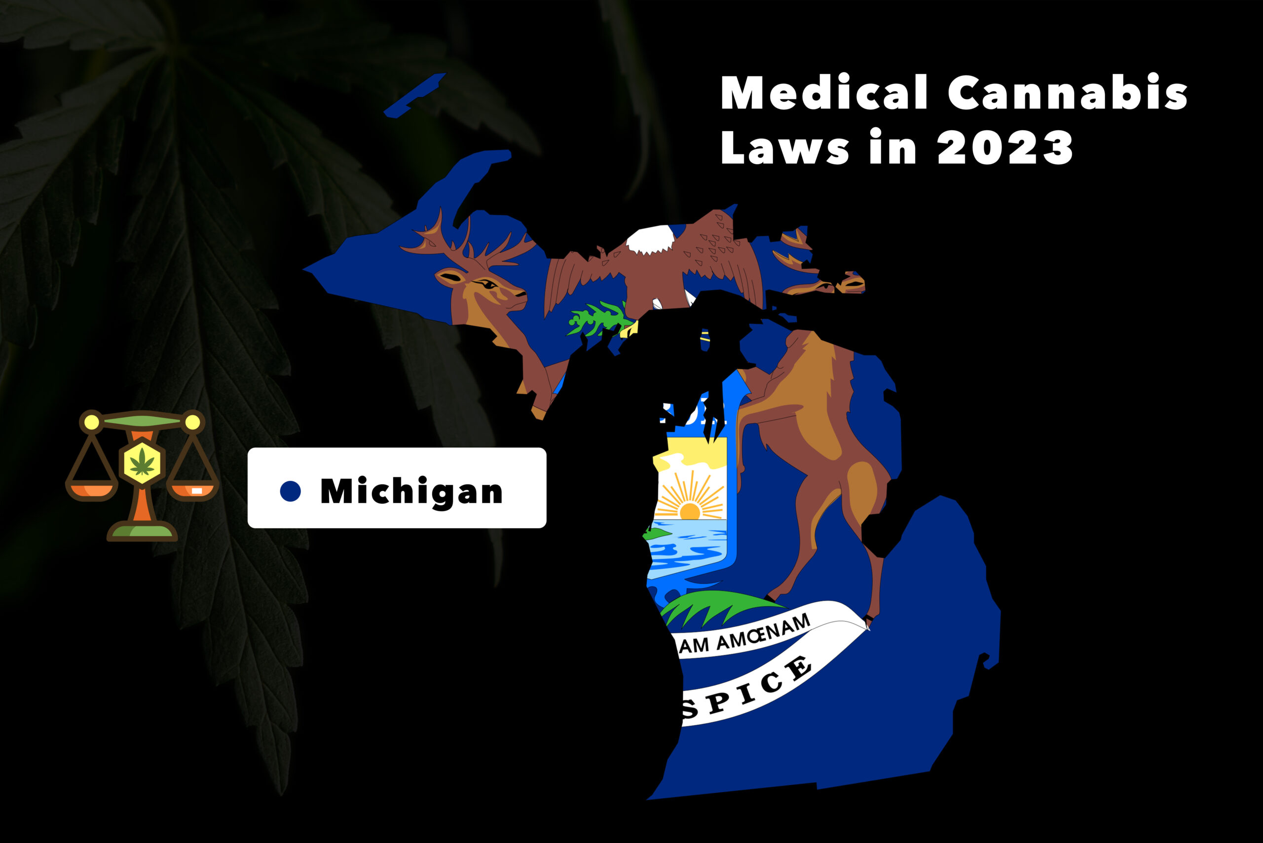 Michigan medical cannabis laws
