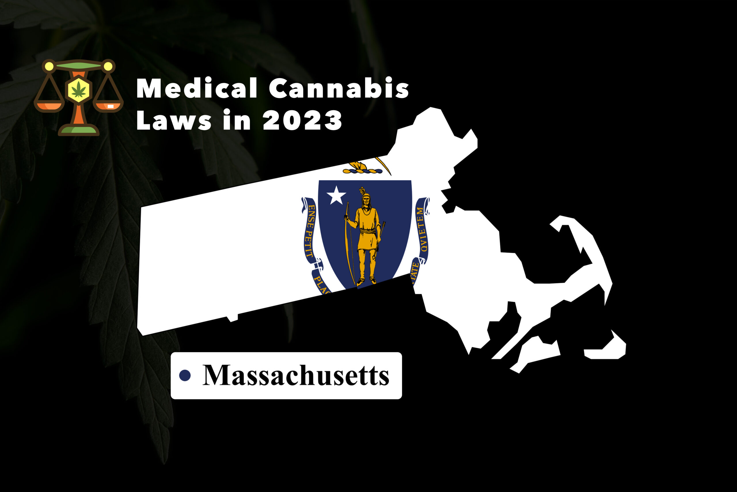massachusetts medical cannabis laws 2023