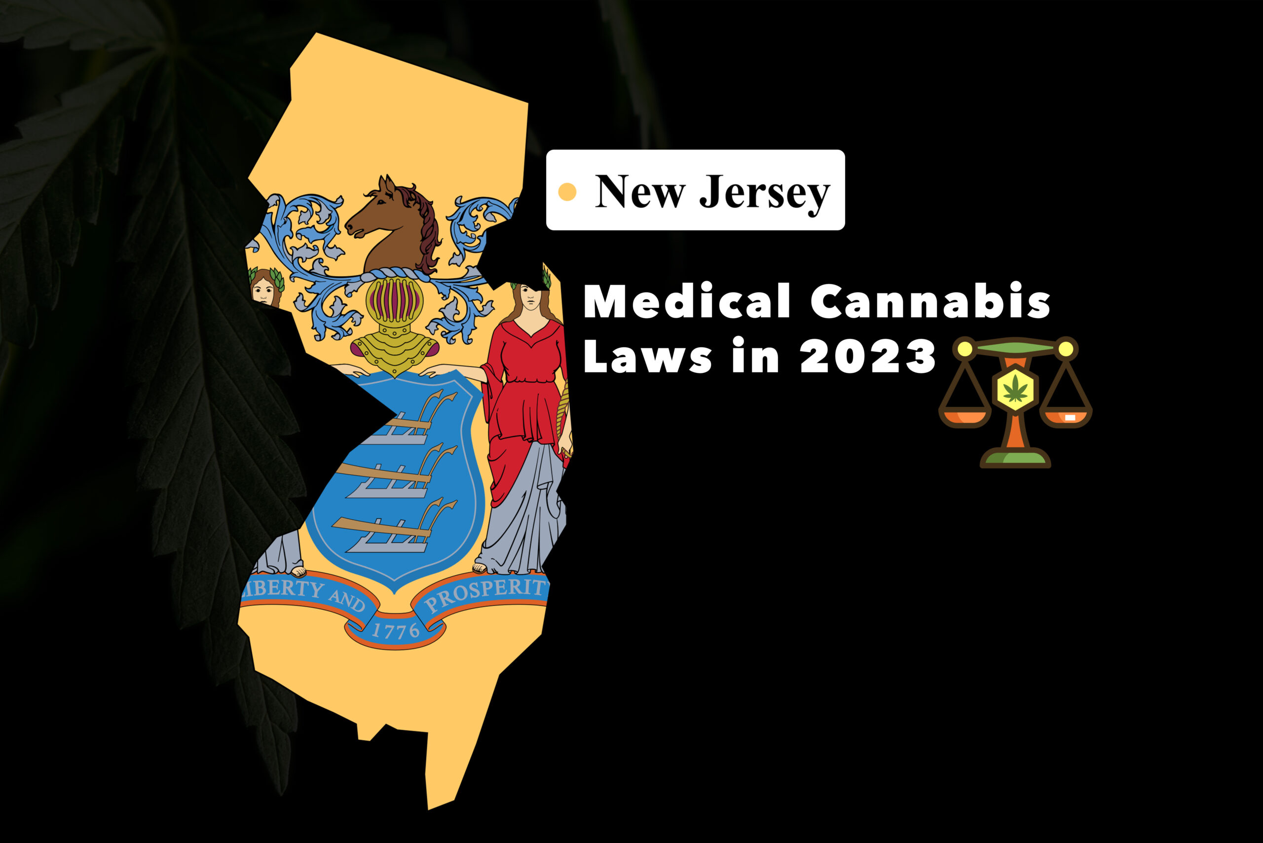 New Jersey Medical Cannabis Laws in 2023
